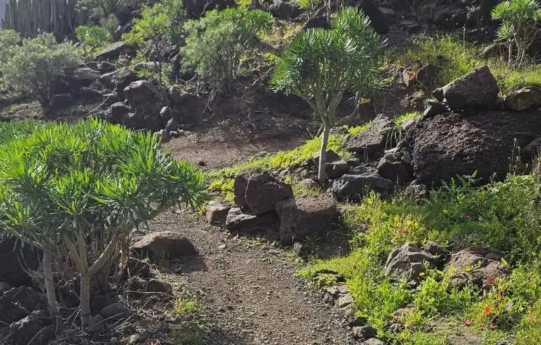 Köves ösvény a GüiGüi túra útvonalán Gran Canarián